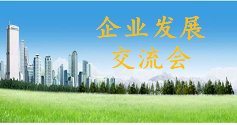 企业发展交流会